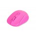 Everest SM-300 Usb Mor 4D Optik Alkalin Pil Kablosuz Mouse